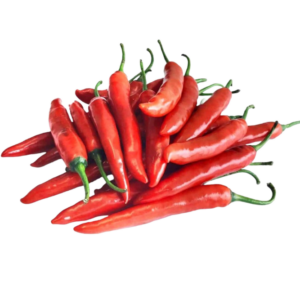 Cabe Merah Besar