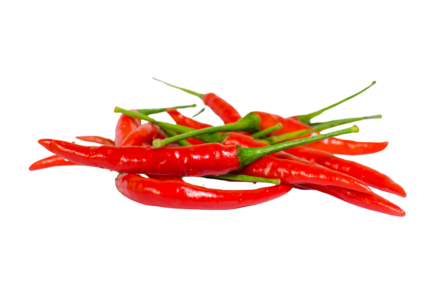 Cabe Rawit Merah Pedas Jablay Cabe Rawit Merah Pedas Jablay