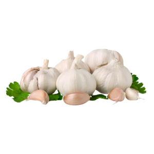 Bawang Putih