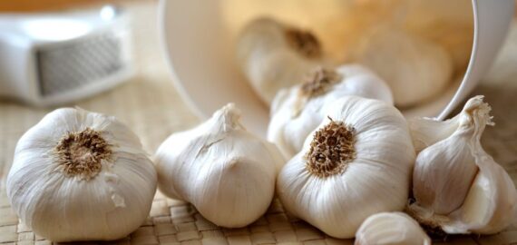Manfaat Bawang Putih Untuk Kesehatan Manfaat Bawang Putih Untuk Kesehatan