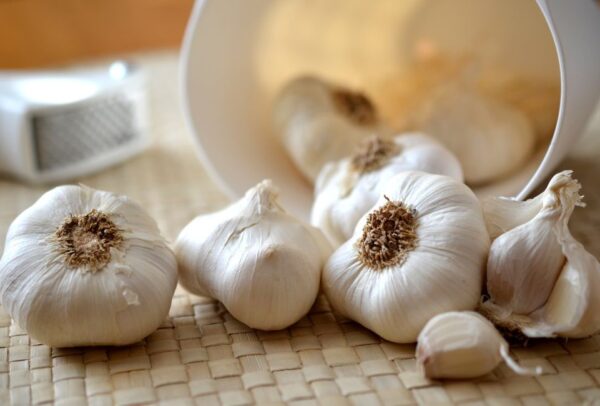 Manfaat Bawang Putih Untuk Kesehatan Manfaat Bawang Putih Untuk Kesehatan