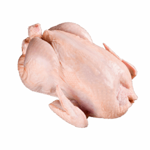Ayam