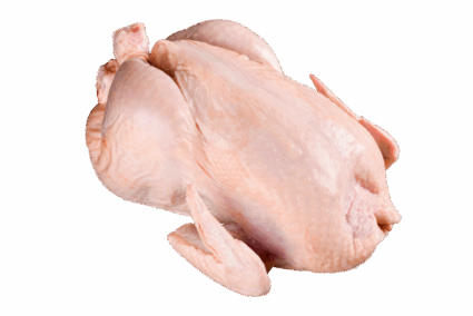 Ayam Utuh Ayam Utuh