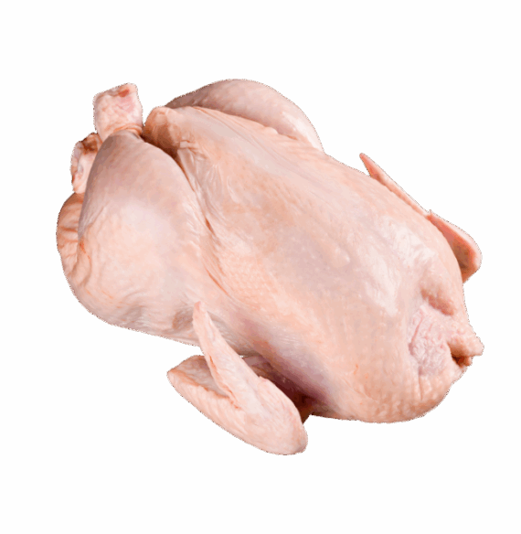 Ayam Utuh