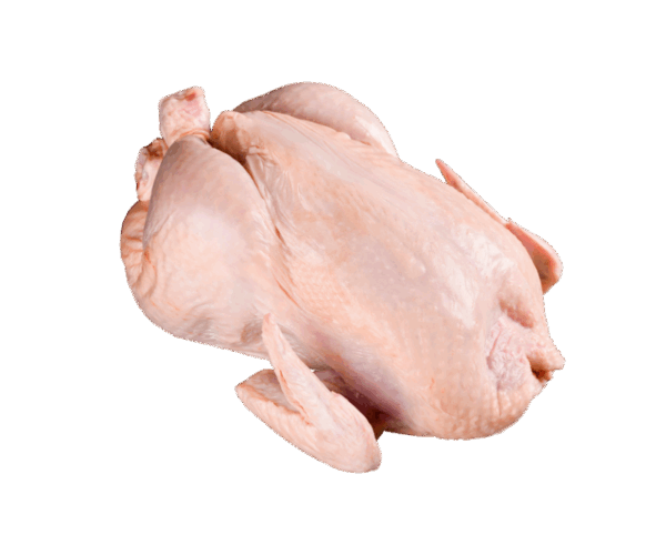 Ayam Utuh