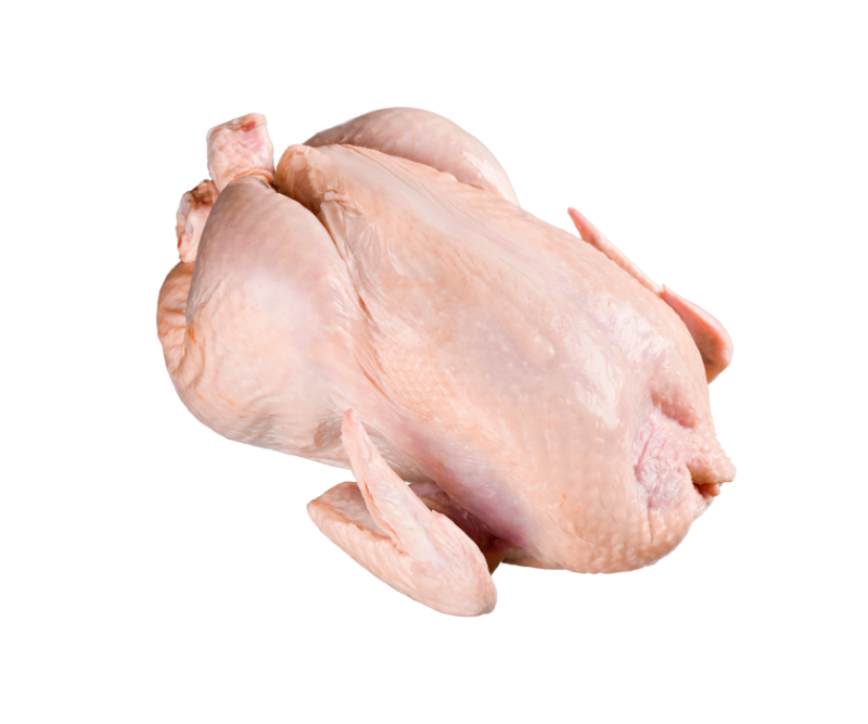 Ayam