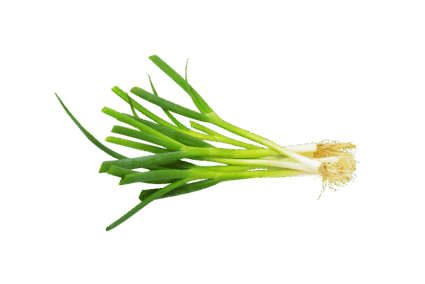 Bawang Daun Bawang Daun