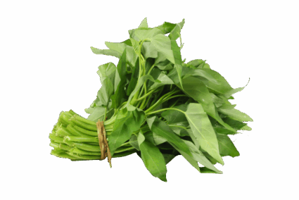 Kangkung Kangkung