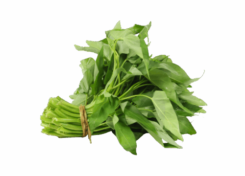 Kangkung