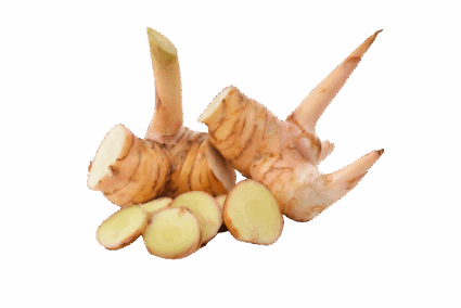 Lengkuas Daerah Lengkuas Daerah